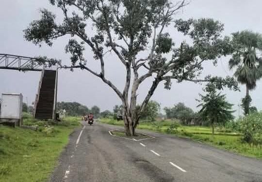 نشہ کی حقیقت اور اس کا علاج اسلامی تعلیمات کی روشنی میں