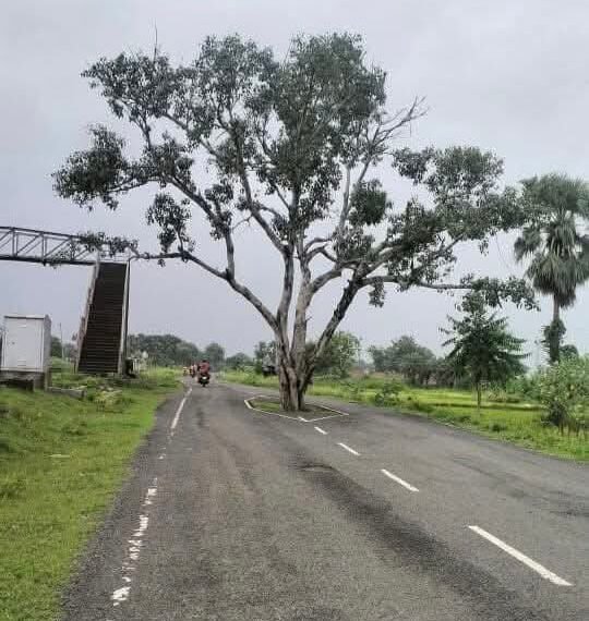 نشہ کی حقیقت اور اس کا علاج اسلامی تعلیمات کی روشنی میں