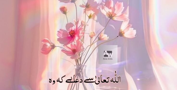 تعلیم میں تفریح کی آڑ میں تعلیم کا زوال