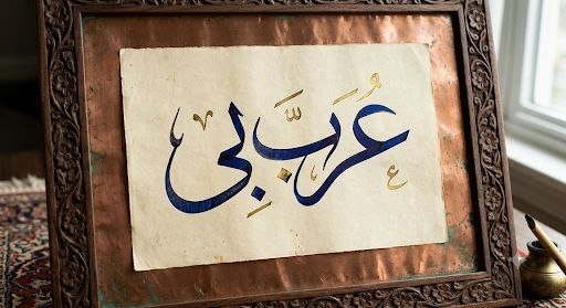 عربی زبان سیکھنے کی اہمیت اور مسلمانوں کی غیر عربی زبانوں کو لاطینی حروف میں لکھنے کے خطرات